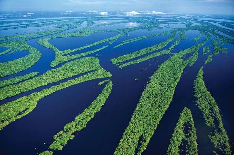 Amazônia ParkSuítes Novo Airão Extérieur photo