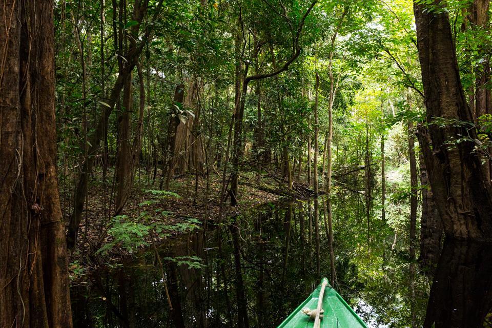 Amazônia ParkSuítes Novo Airão Extérieur photo